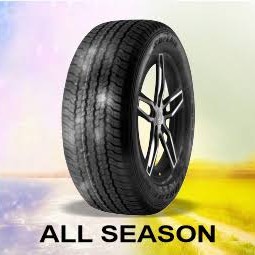 سوپریا 275/35R19